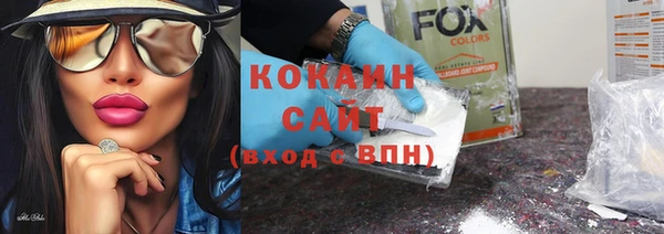 стаф Богданович