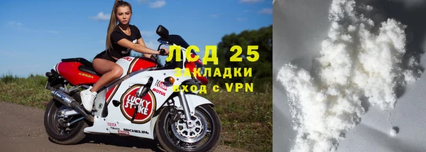 стаф Богданович