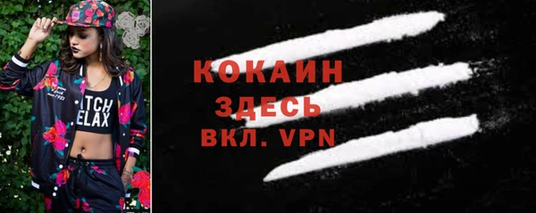бошки Богородицк