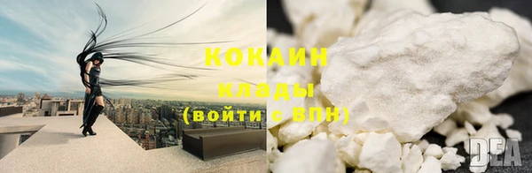 стаф Богданович