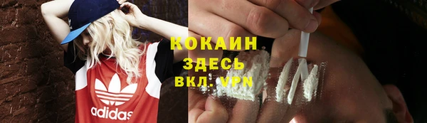 стаф Богданович