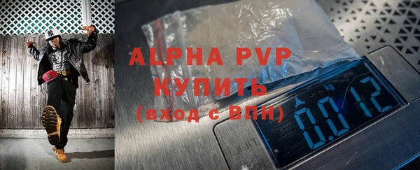 гидра Бородино