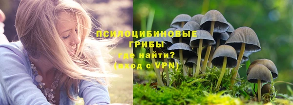 бошки Богородицк