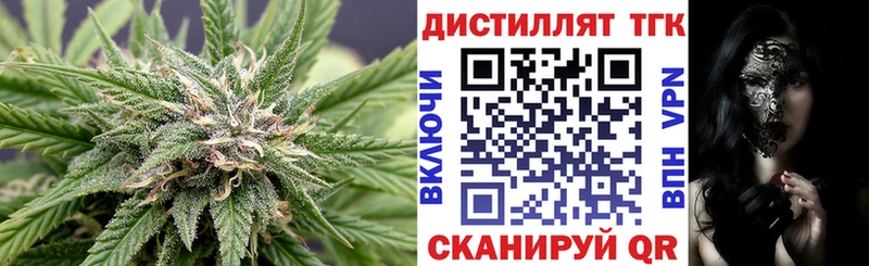 купить  цена  Очёр  OMG   ТГК THC oil 